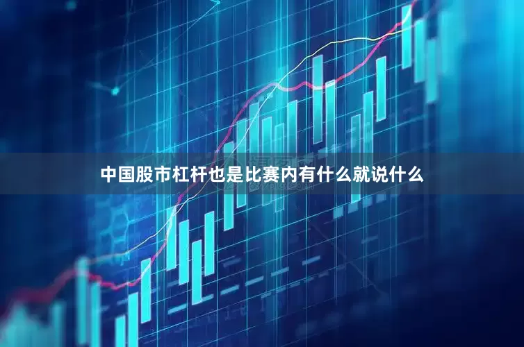 中国股市杠杆也是比赛内有什么就说什么