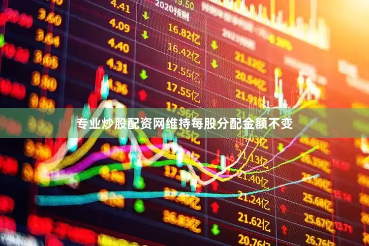 专业炒股配资网维持每股分配金额不变
