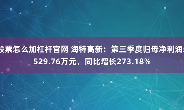 股票怎么加杠杆官网 海特高新：第三季度归母净利润5529.76万元，同比增长273.18%