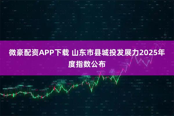 微豪配资APP下载 山东市县城投发展力2025年度指数公布
