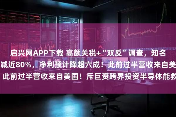 启兴网APP下载 高额关税+“双反”调查，知名车企去年美国市场收入锐减近80%，净利预计降超六成！此前过半营收来自美国！斥巨资跨界投资半导体能救场吗？